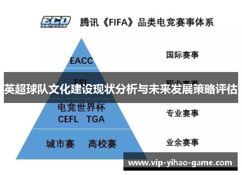 英超球队文化建设现状分析与未来发展策略评估